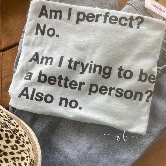 Am I Perfect? No. Am I Trying To Be A Perfect Person ?