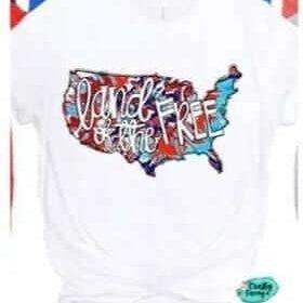 America The Land Of The Free-Retro T-shirt